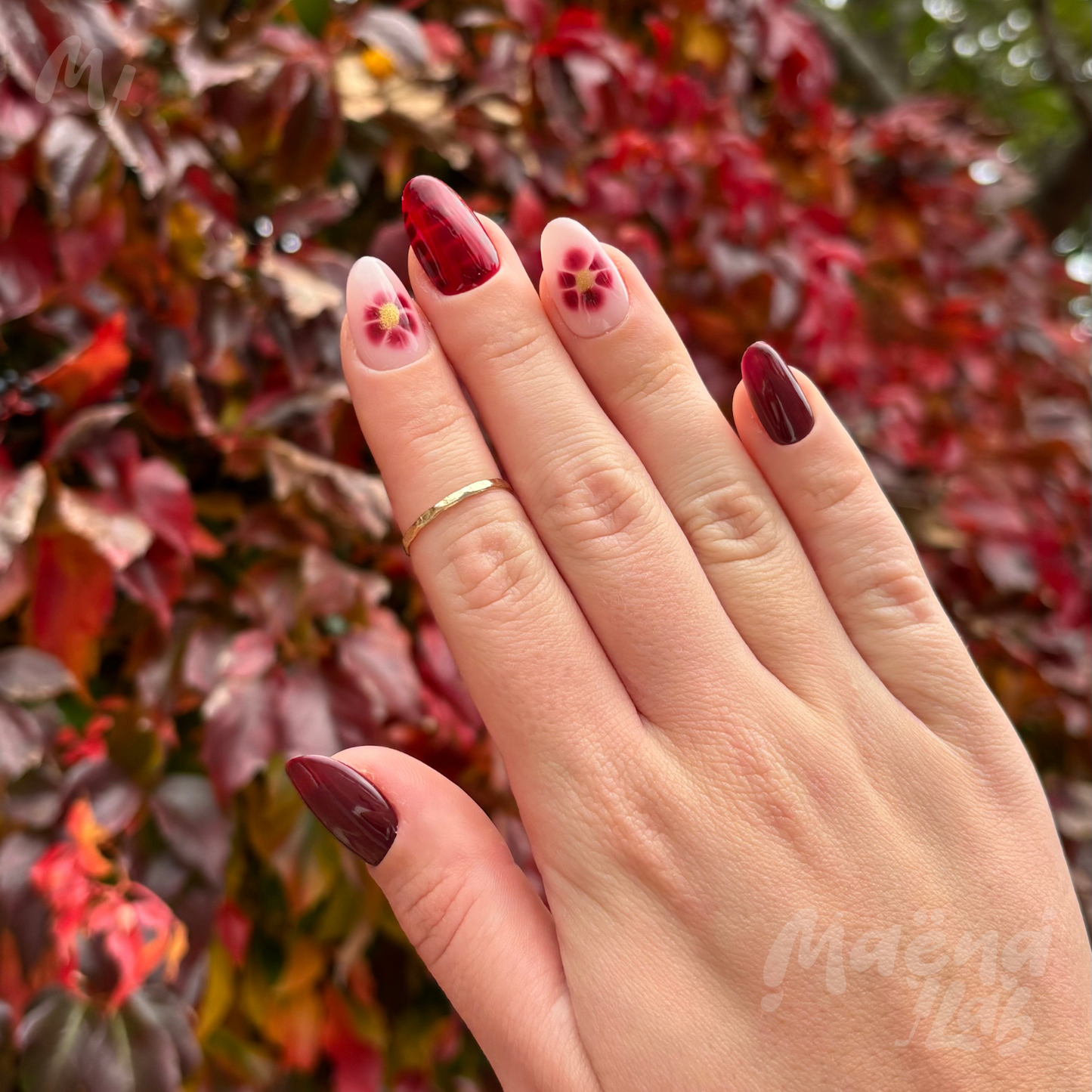 Fleur d'automne