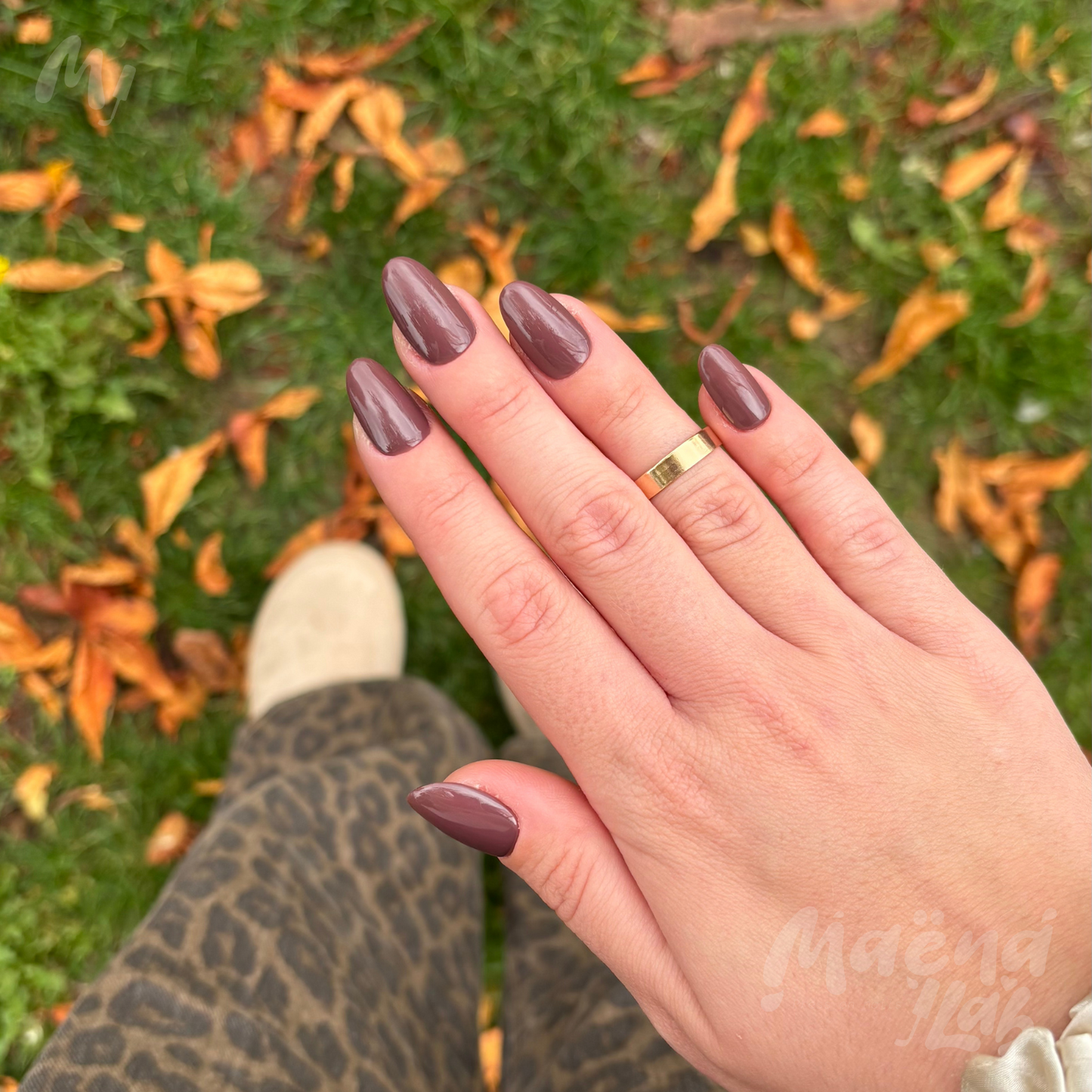 Monochrome Marron